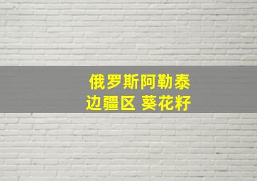 俄罗斯阿勒泰边疆区 葵花籽